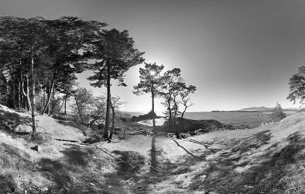 Convert your photos to black and white