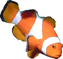 LinangData brand icon